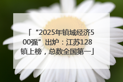 “2025年镇域经济500强”出炉：江苏128镇上榜，总数全国第一