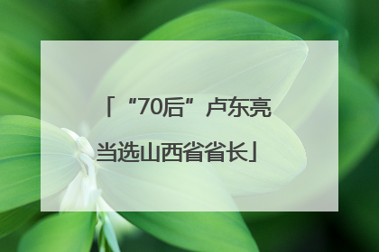 “70后”卢东亮当选山西省省长