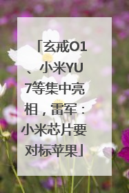 玄戒O1、小米YU7等集中亮相，雷军：小米芯片要对标苹果