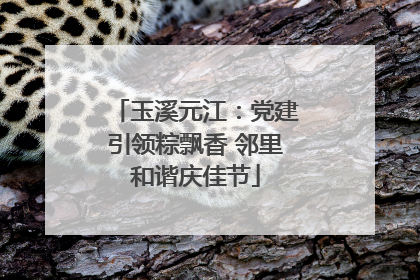 玉溪元江：党建引领粽飘香 邻里和谐庆佳节