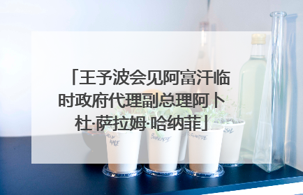 王予波会见阿富汗临时政府代理副总理阿卜杜·萨拉姆·哈纳菲