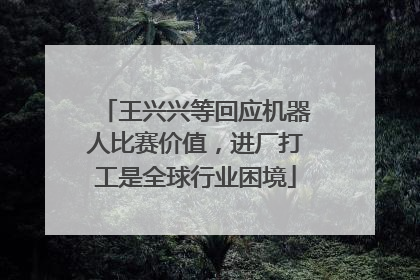 王兴兴等回应机器人比赛价值，进厂打工是全球行业困境