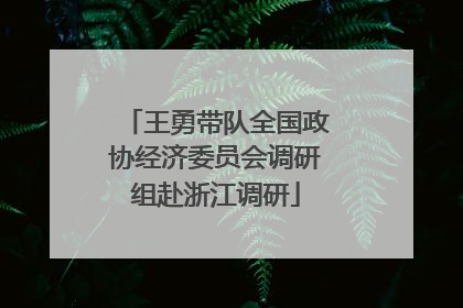 王勇带队全国政协经济委员会调研组赴浙江调研