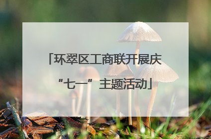 环翠区工商联开展庆“七一”主题活动