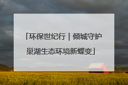 环保世纪行｜倾城守护 巢湖生态环境新蝶变