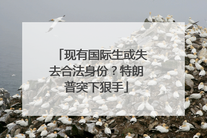 现有国际生或失去合法身份？特朗普突下狠手