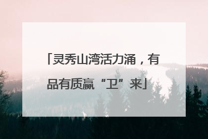 灵秀山湾活力涌，有品有质赢“卫”来