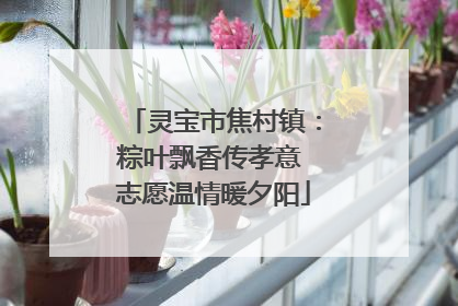 灵宝市焦村镇：粽叶飘香传孝意 志愿温情暖夕阳