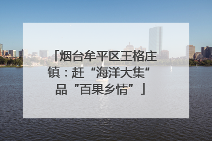 烟台牟平区王格庄镇：赶“海洋大集” 品“百果乡情”