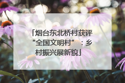 烟台东北桥村获评“全国文明村”：乡村振兴展新貌