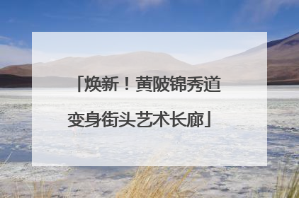 焕新！黄陂锦秀道变身街头艺术长廊
