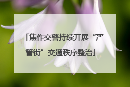 焦作交警持续开展“严管街”交通秩序整治