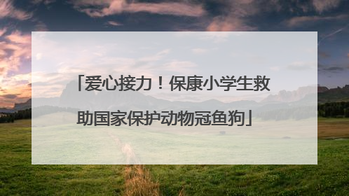 爱心接力！保康小学生救助国家保护动物冠鱼狗