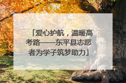 爱心护航，温暖高考路——东平县志愿者为学子筑梦助力