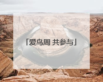 爱鸟周 共参与