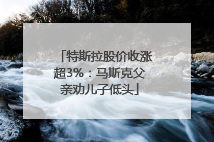 特斯拉股价收涨超3%：马斯克父亲劝儿子低头