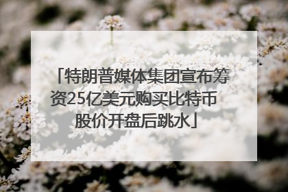特朗普媒体集团宣布筹资25亿美元购买比特币 股价开盘后跳水