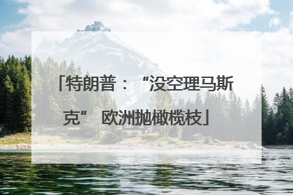 特朗普：“没空理马斯克” 欧洲抛橄榄枝