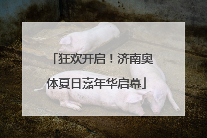 狂欢开启！济南奥体夏日嘉年华启幕