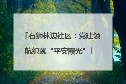 石狮林边社区：党建领航织就“平安霞光”