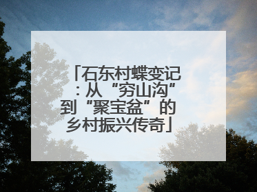 石东村蝶变记：从“穷山沟”到“聚宝盆”的乡村振兴传奇