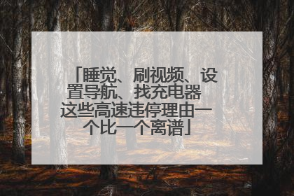 睡觉、刷视频、设置导航、找充电器 这些高速违停理由一个比一个离谱