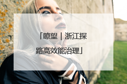 瞭望｜浙江探路高效能治理