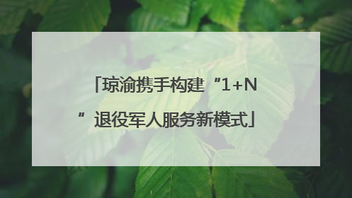 琼渝携手构建“1+N”退役军人服务新模式