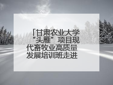甘肃农业大学“头雁”项目现代畜牧业高质量发展培训班走进榆林榆阳区