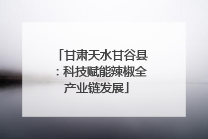 甘肃天水甘谷县：科技赋能辣椒全产业链发展