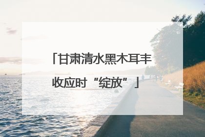 甘肃清水黑木耳丰收应时“绽放”