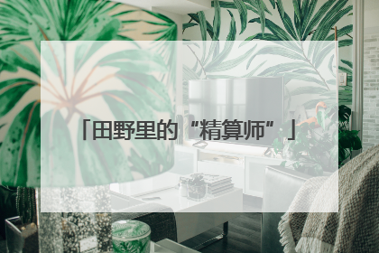 田野里的“精算师”