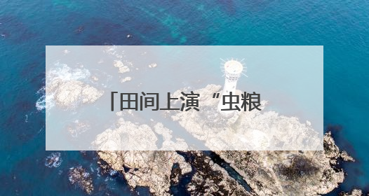 田间上演“虫粮博弈”，生物武器扭转“战局”
