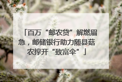 百万“邮农贷”解燃眉急，邮储银行助力随县菇农撑开“致富伞”