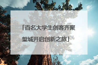 百名大学生创客齐聚望城开启创新之旅