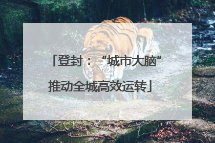 登封：“城市大脑”推动全城高效运转
