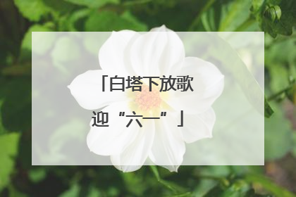 白塔下放歌迎“六一”