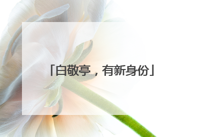 白敬亭，有新身份