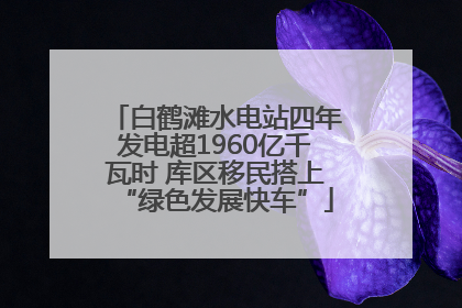 白鹤滩水电站四年发电超1960亿千瓦时 库区移民搭上“绿色发展快车”