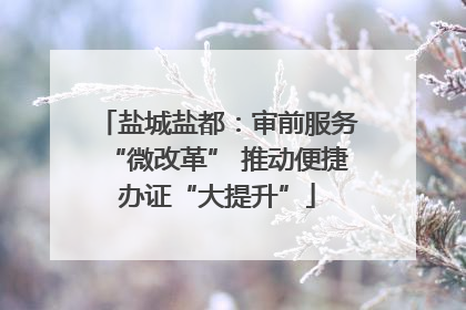 盐城盐都：审前服务“微改革” 推动便捷办证“大提升”
