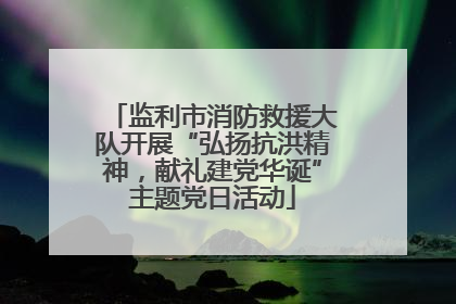 监利市消防救援大队开展“弘扬抗洪精神，献礼建党华诞”主题党日活动