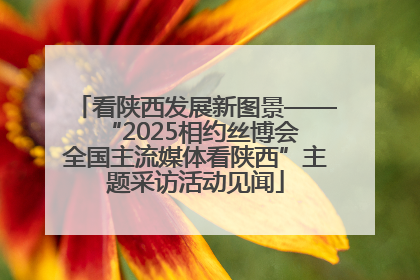 看陕西发展新图景——“2025相约丝博会 全国主流媒体看陕西”主题采访活动见闻
