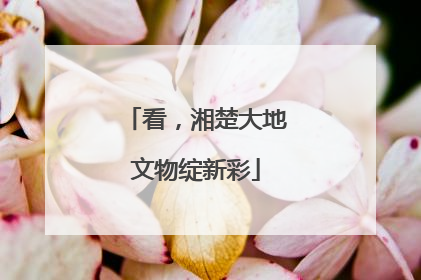 看，湘楚大地文物绽新彩