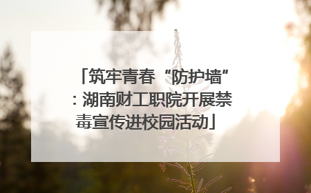 筑牢青春“防护墙”：湖南财工职院开展禁毒宣传进校园活动