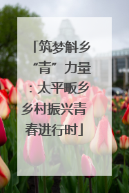 筑梦斛乡“青”力量：太平畈乡乡村振兴青春进行时