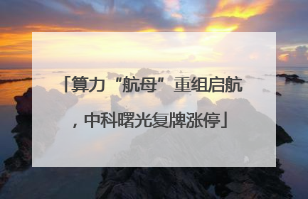 算力“航母”重组启航，中科曙光复牌涨停