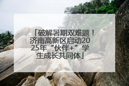 破解暑期双难题！济南高新区启动2025年“伙伴+”学生成长共同体