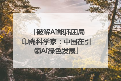 破解AI能耗困局 印裔科学家：中国在引领AI绿色发展