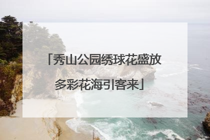 秀山公园绣球花盛放 多彩花海引客来