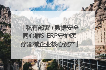 私有部署+数据安全：同心雁S-ERP守护医疗器械企业核心资产